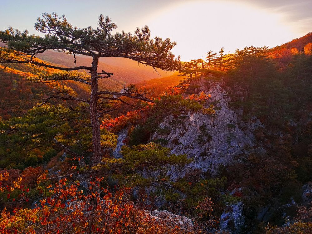 Photograph by Анна