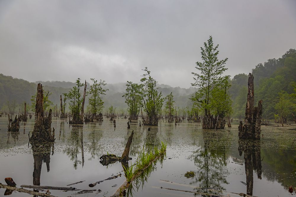 Фотография автора Ebrahim Rahiminezhad
