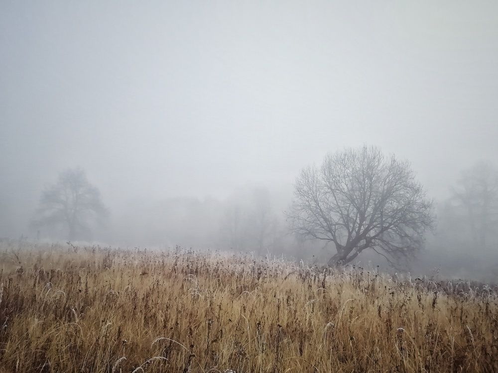 Photograph by Екатерина Чижевская