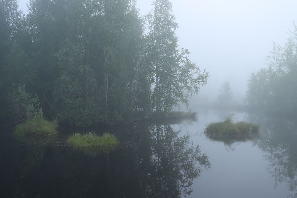 Photograph by Ксения Казырицкая