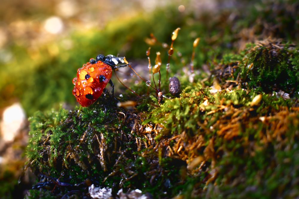 Photograph by Александр Слепцов