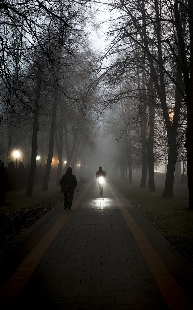 Photograph by Павел Шарапов