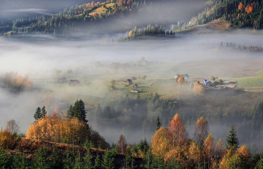 Фотография автора Милокост Алексей