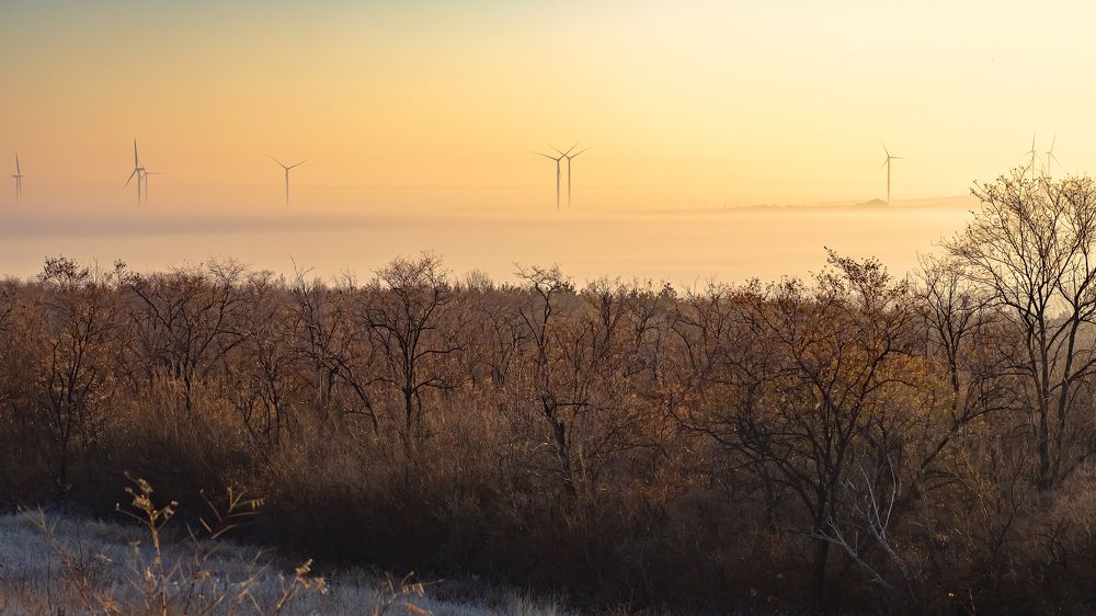 Photograph by Александр Слепцов