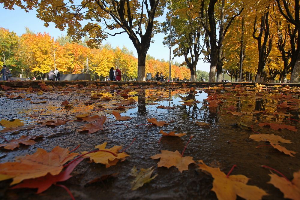 Фотография автора Геннадий Титов