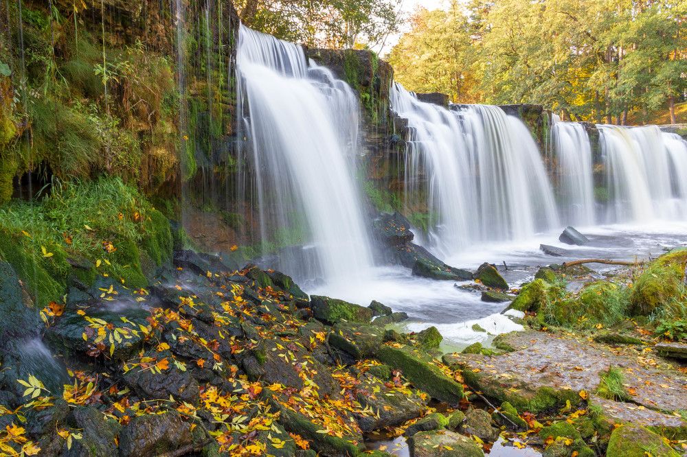 Photograph by Andres Papp