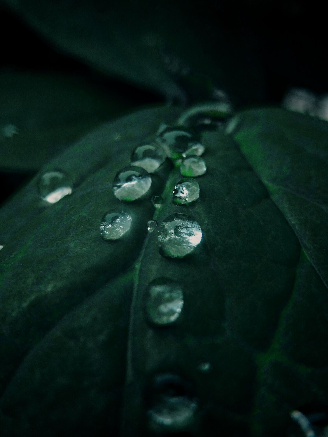 Photo #6677877