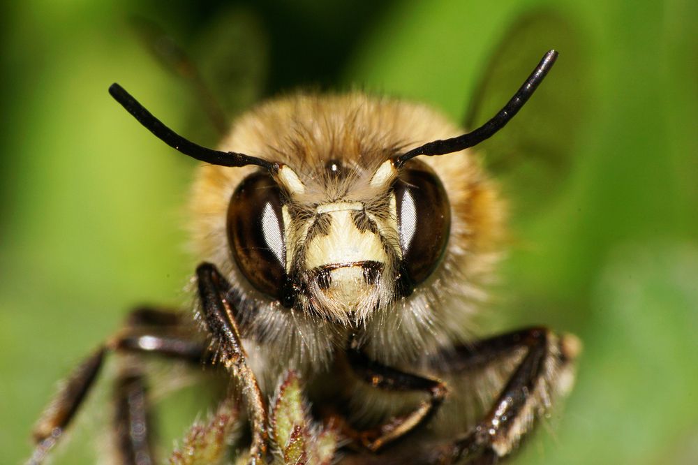 Photograph by Sergios  Kozmidis