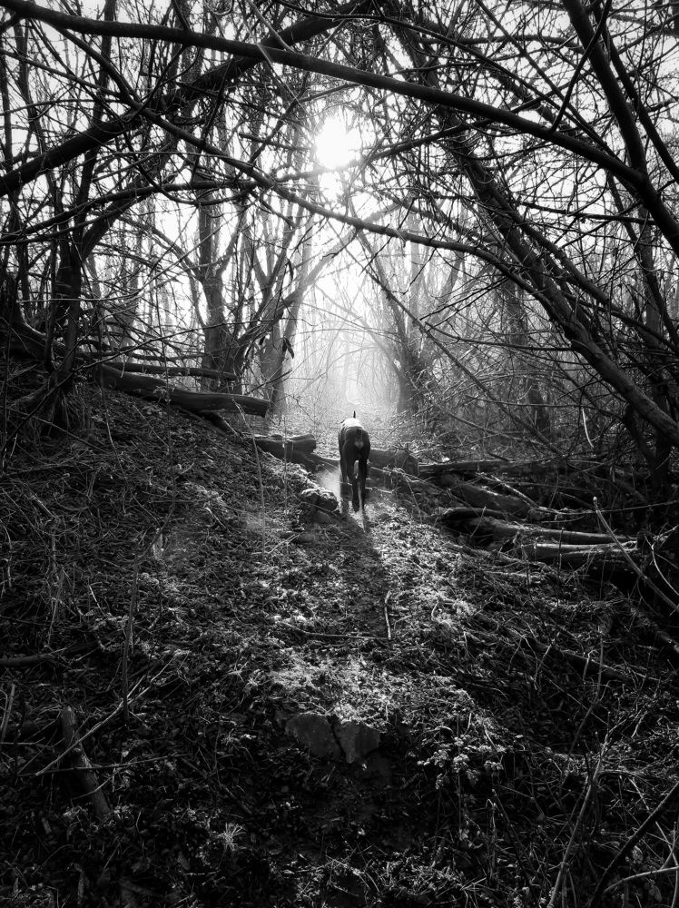 Photo #6677904