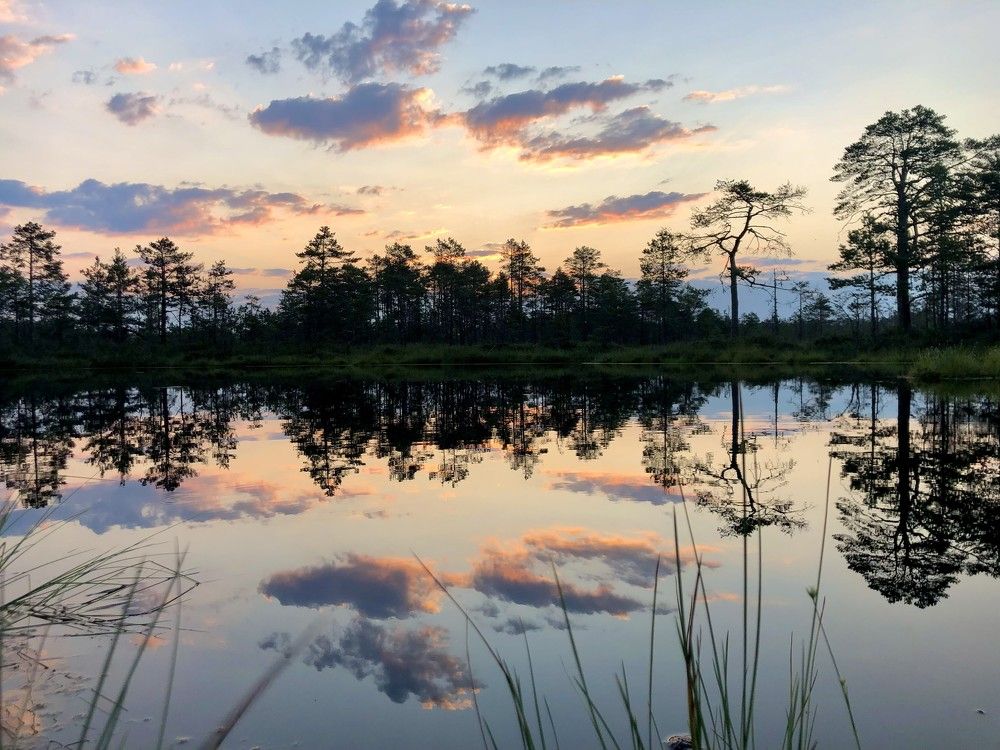 Photograph by Andres Papp