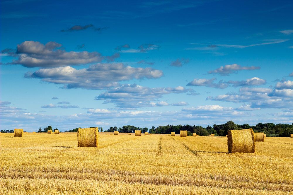 Photograph by Andres Papp