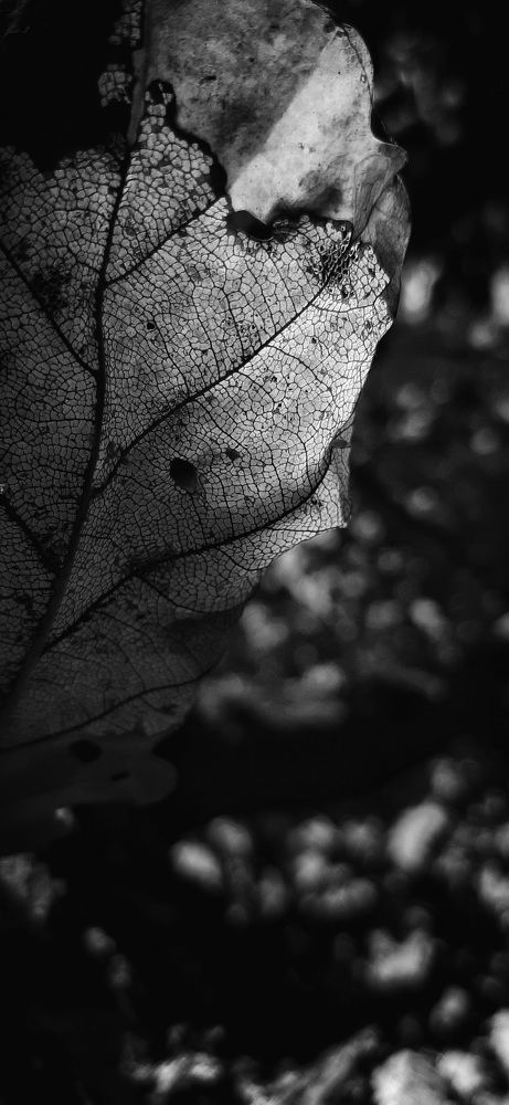 Photo #6677944
