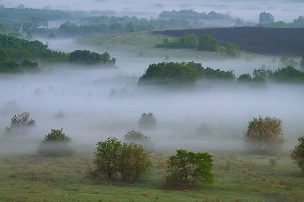 Photograph by Юрий Москалев