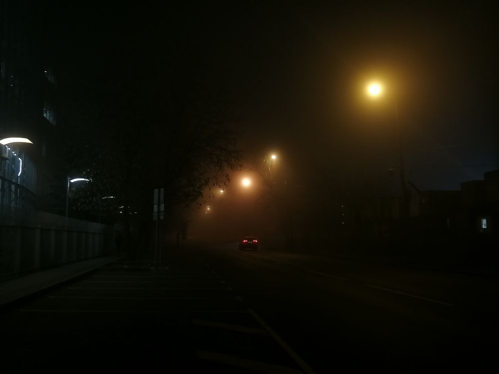 Photograph by Полина Белокопытова