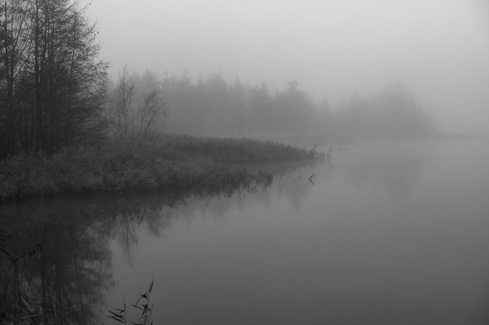 Photograph by Roman Adler