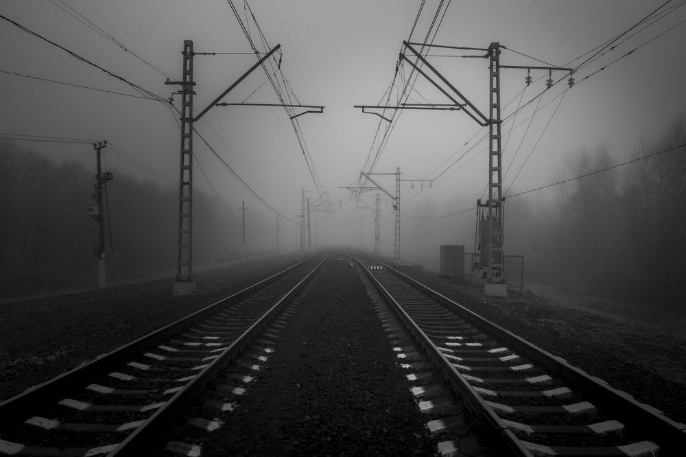 Photograph by Roman Adler