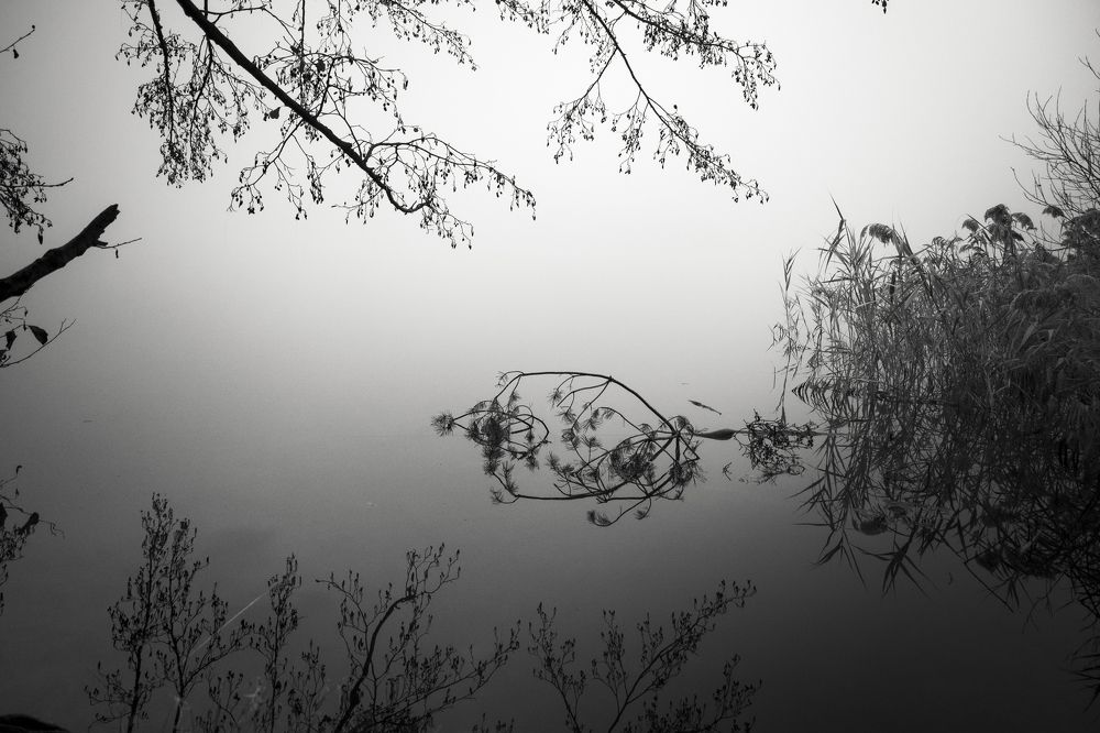 Photograph by Roman Adler