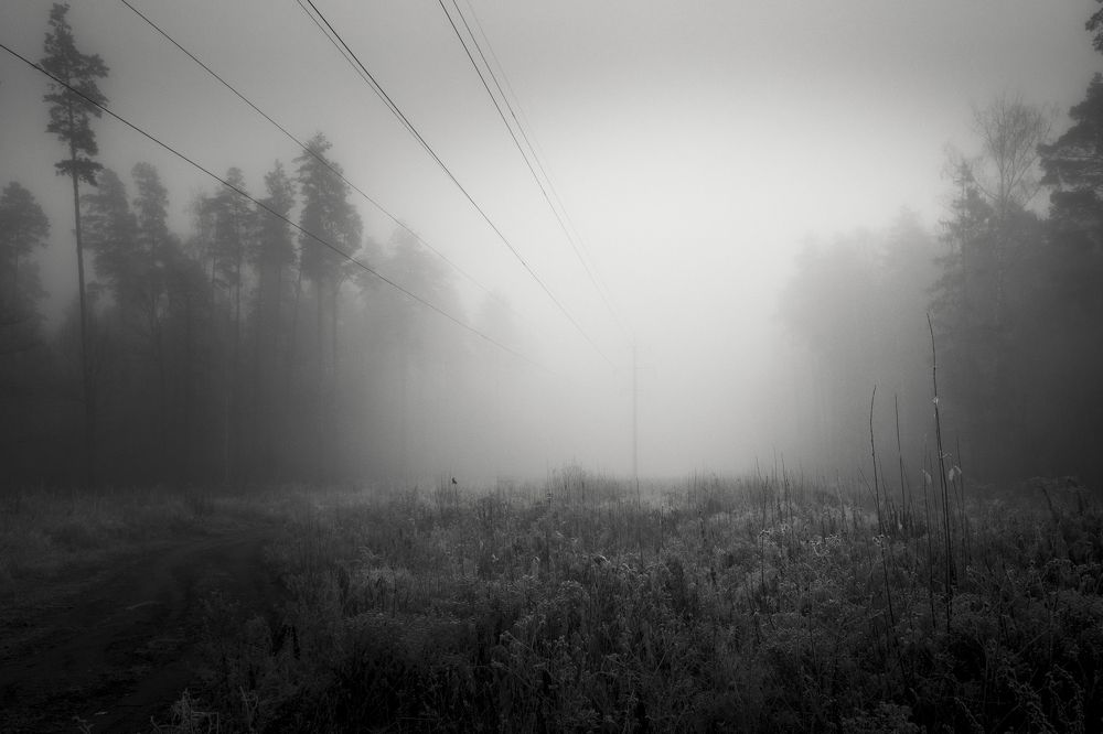 Photograph by Roman Adler