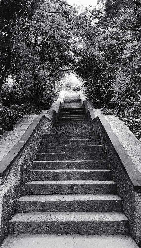 Photograph by Надежда Левошко