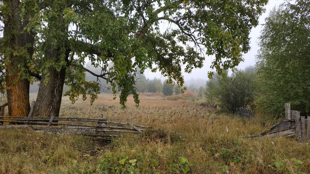 Photograph by Наталья Слудникова