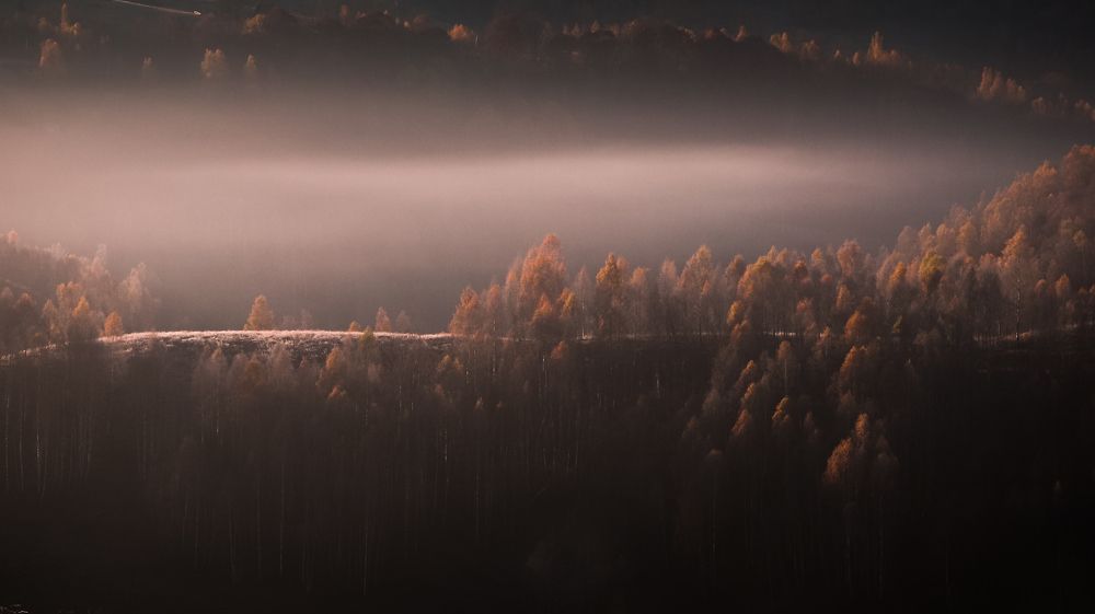 Photograph by Flegner Calin