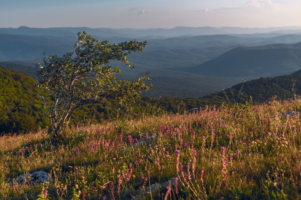 Photograph by Александр Слепцов