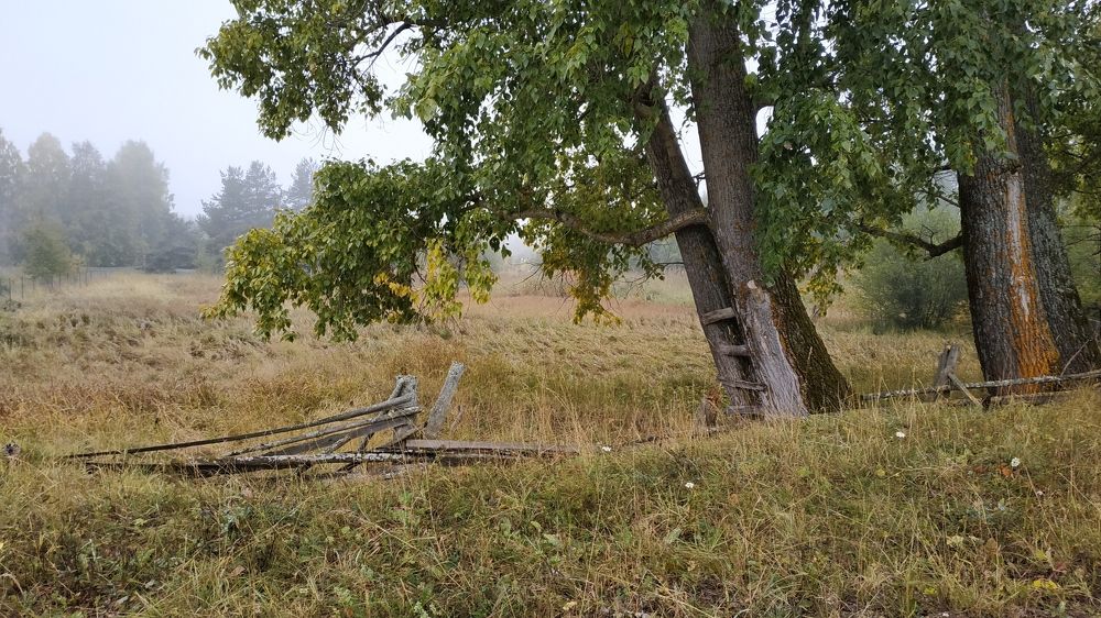 Photograph by Наталья Слудникова