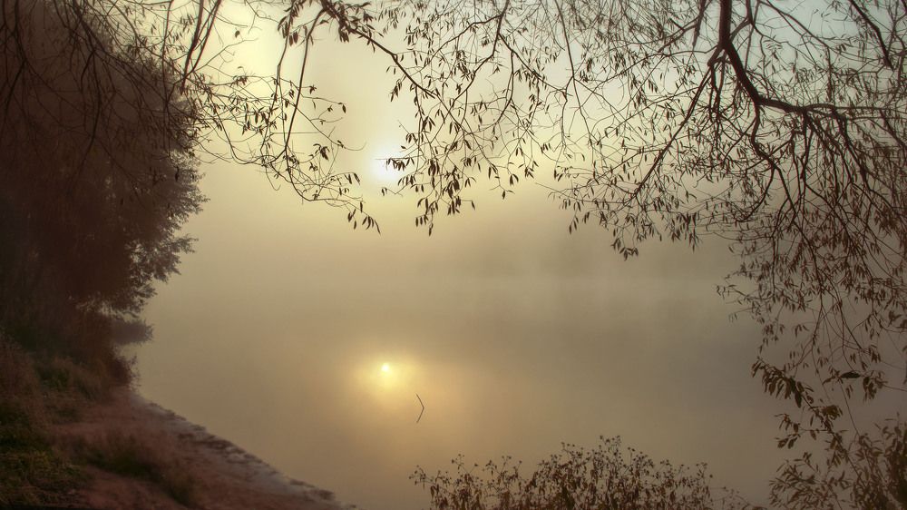 Photograph by Людмила Железнова