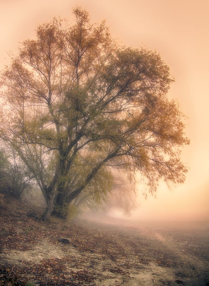 Photograph by Александр Замятин