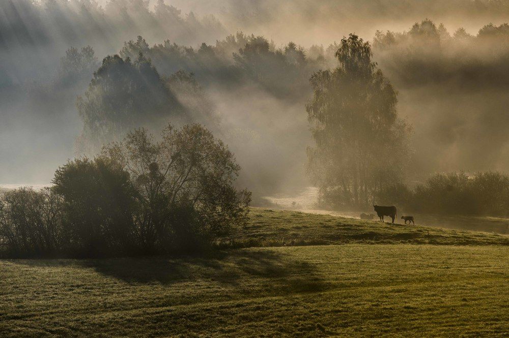 Photograph by Jerzy Safijański