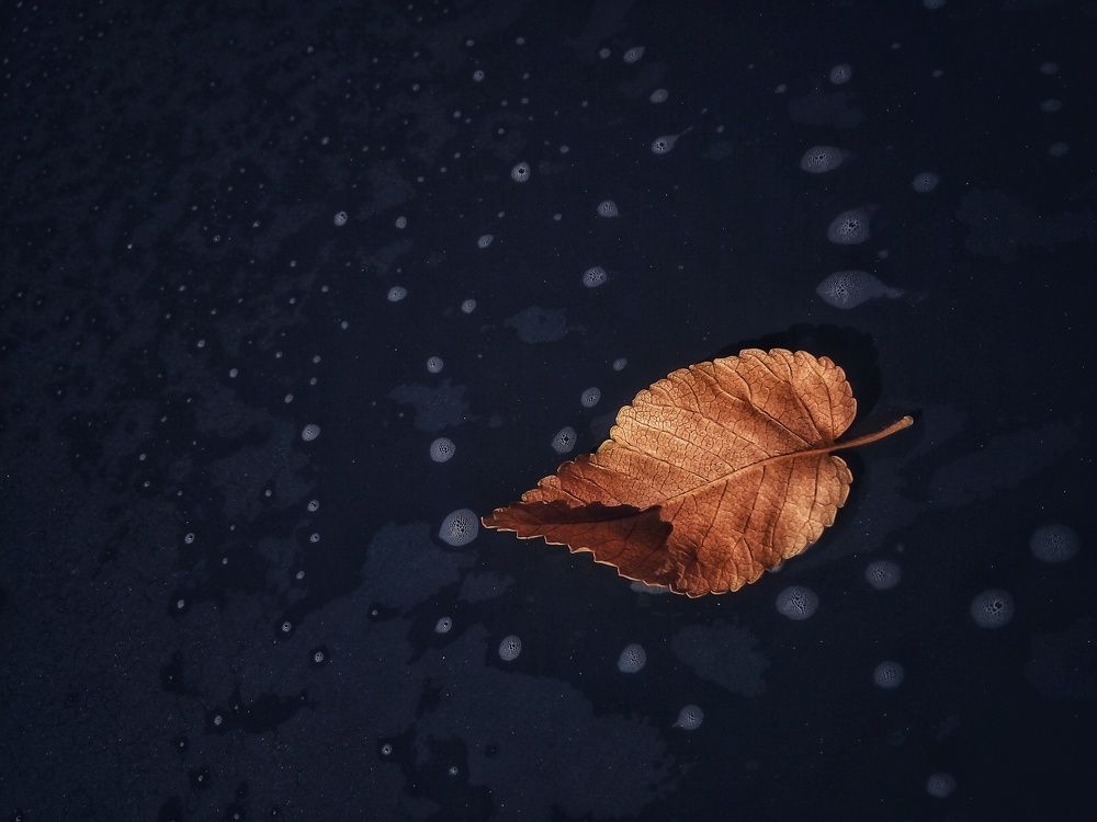 Photograph by محمدرضا کیانی