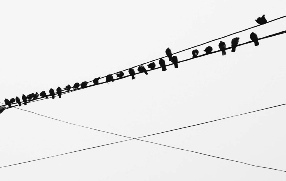 Photograph by Helen Seleznova