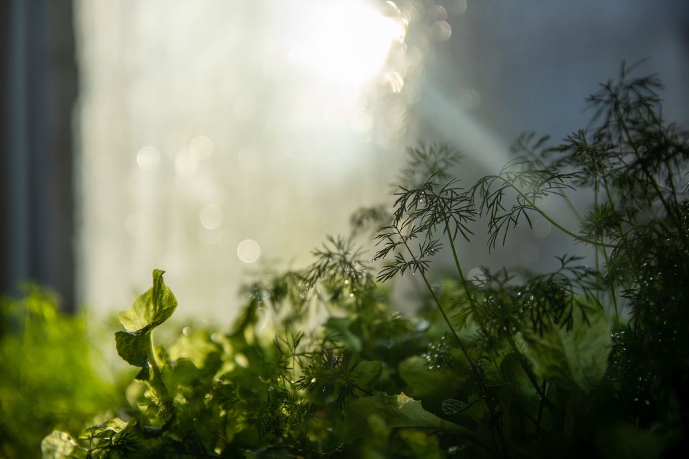 Photograph by Александр Ульянов