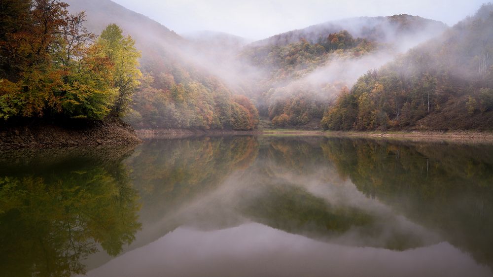 Фотография автора Flegner Calin
