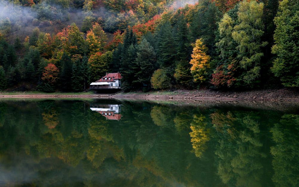Фотография автора Flegner Calin