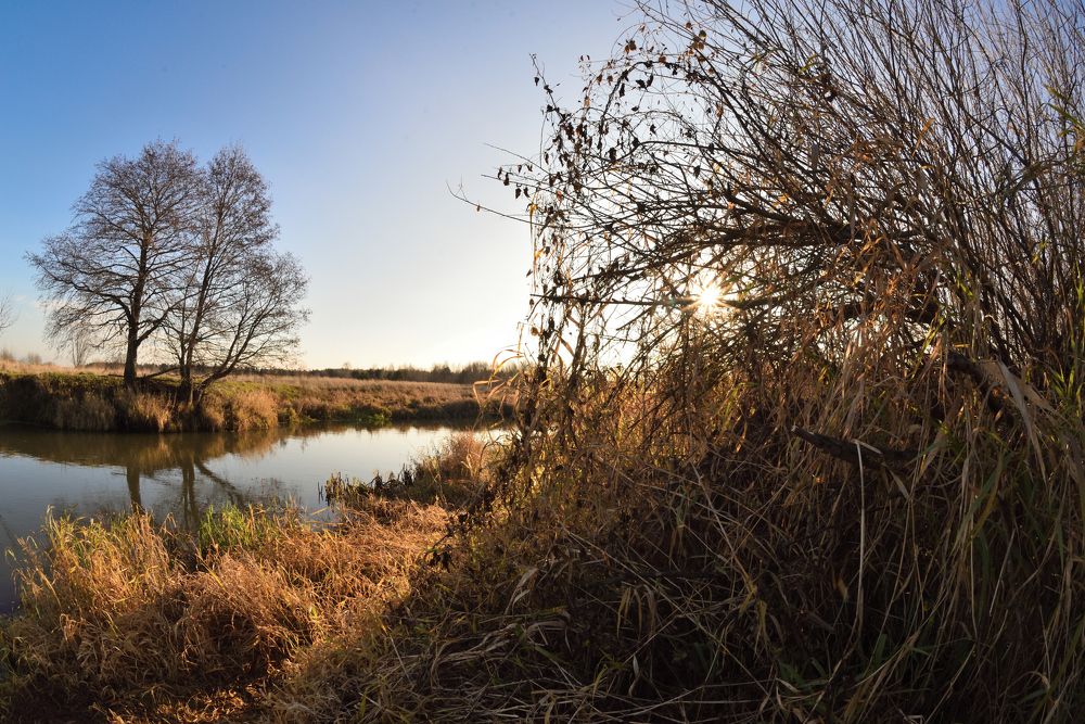 Photograph by Семен Батов