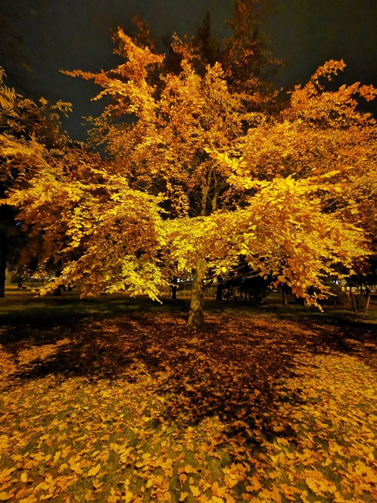 Фотография автора Дмитрий Лебедь