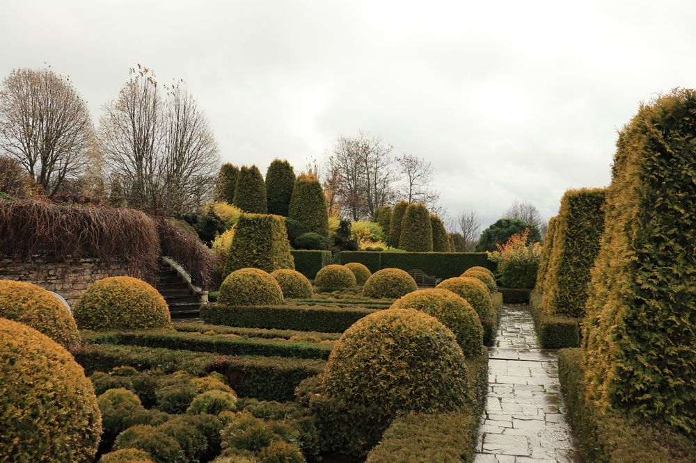 Photograph by Иван Скрипкин