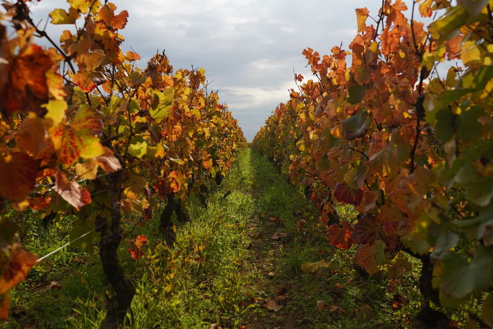 Photograph by Hanna Sauchuk