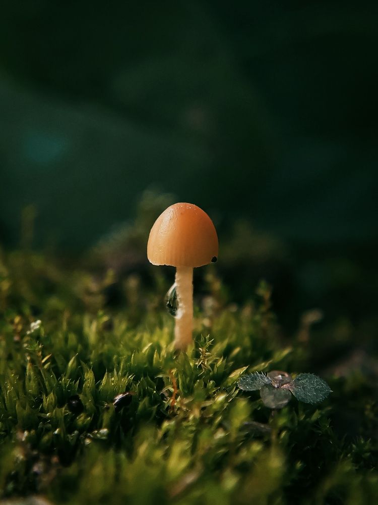 Фотография автора Наталья Алексеева