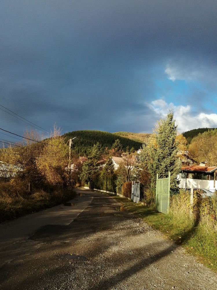 Photograph by Vessella