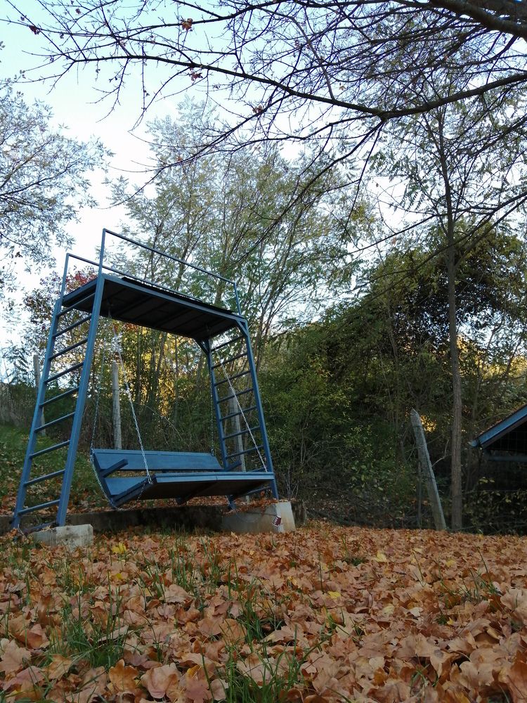 Photograph by Vessella