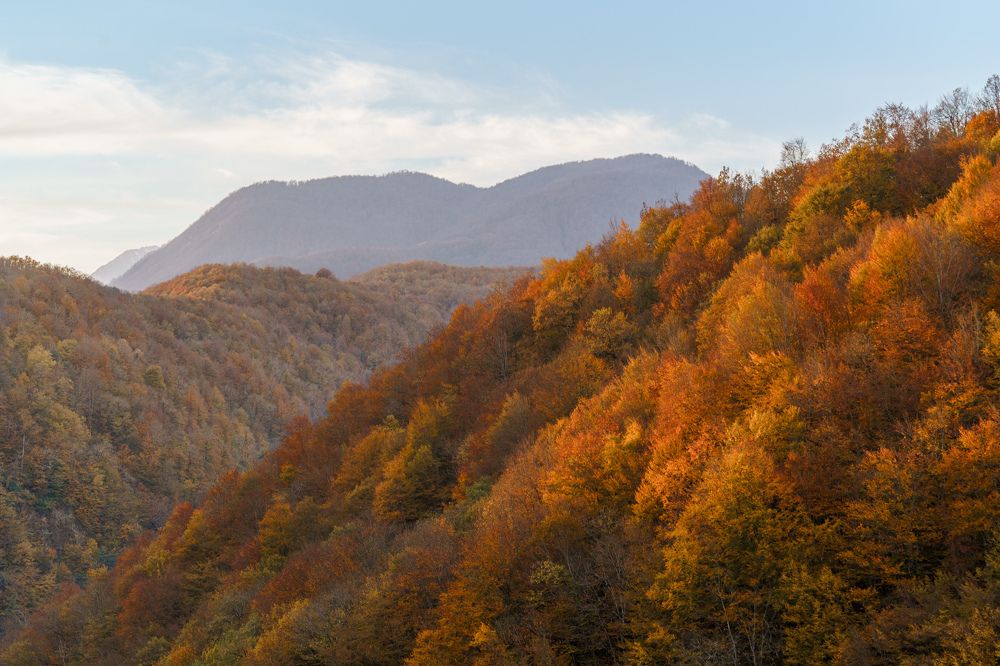 Photograph by Игорь Мурзенко