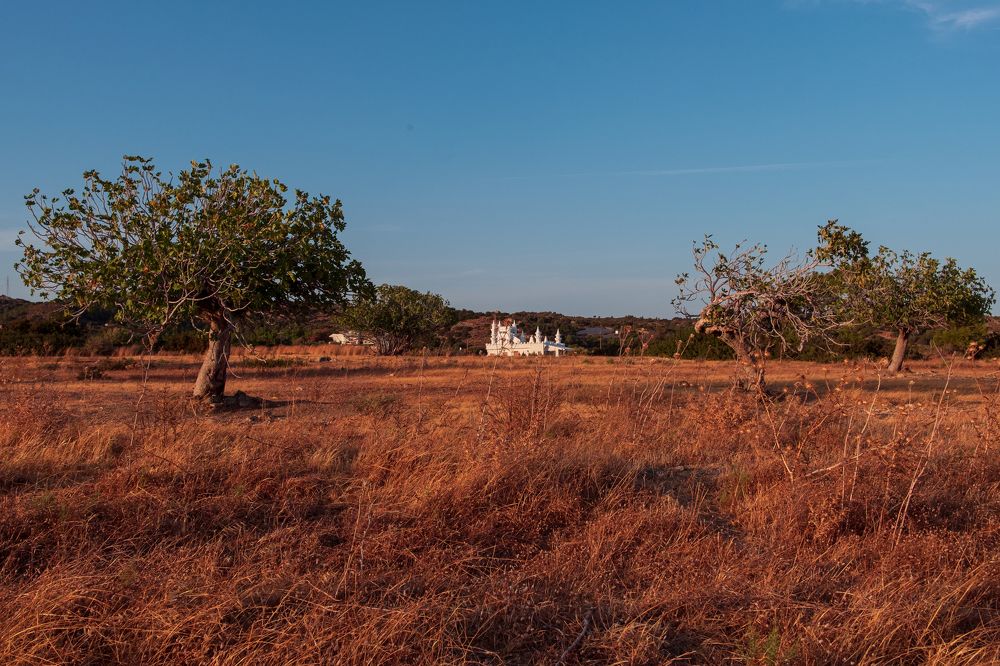 Photograph by Даниил Хармушко