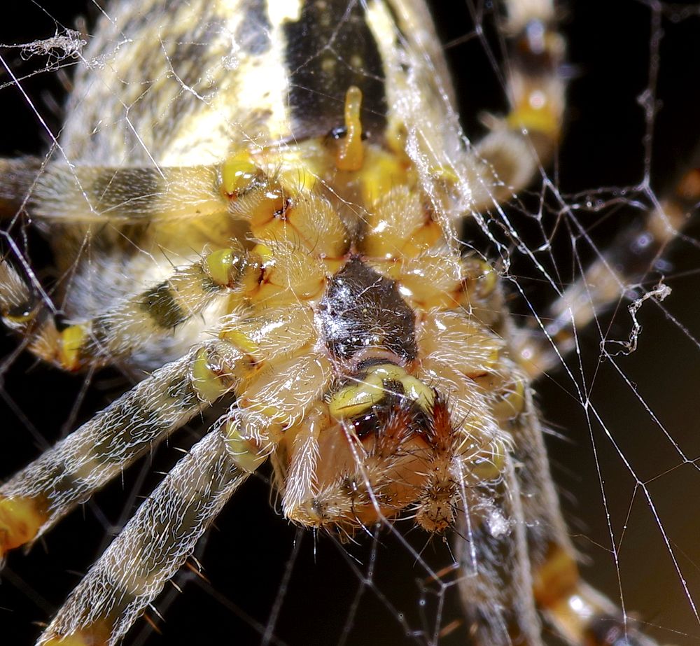 Photograph by Олег Китаев