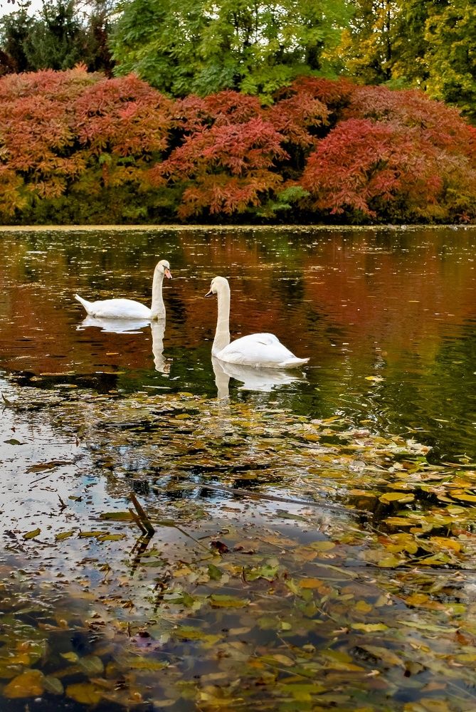 Photograph by Татьяна Сытова