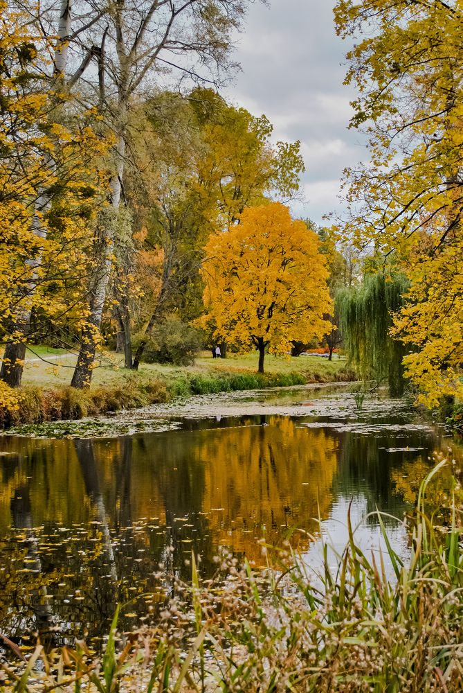 Photograph by Татьяна Сытова