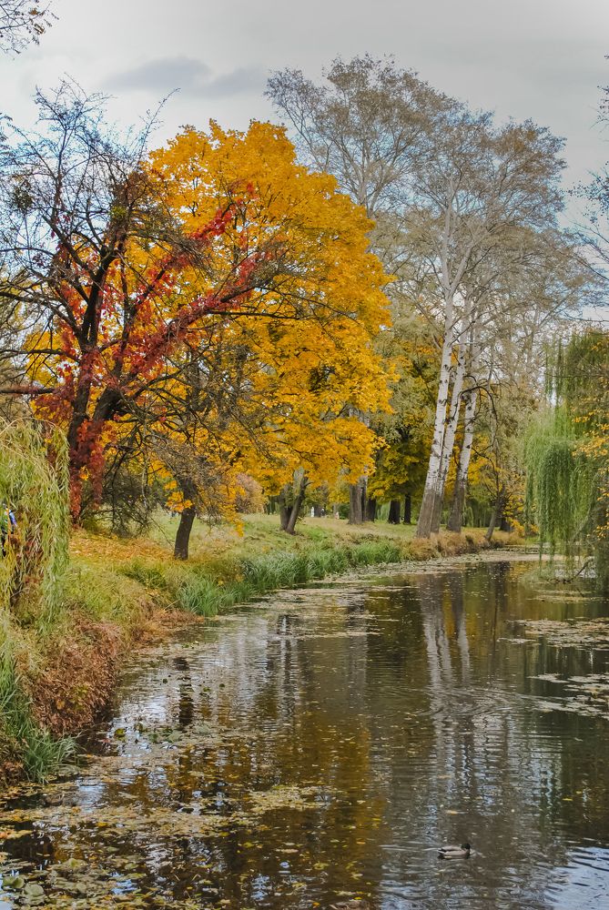 Photograph by Татьяна Сытова