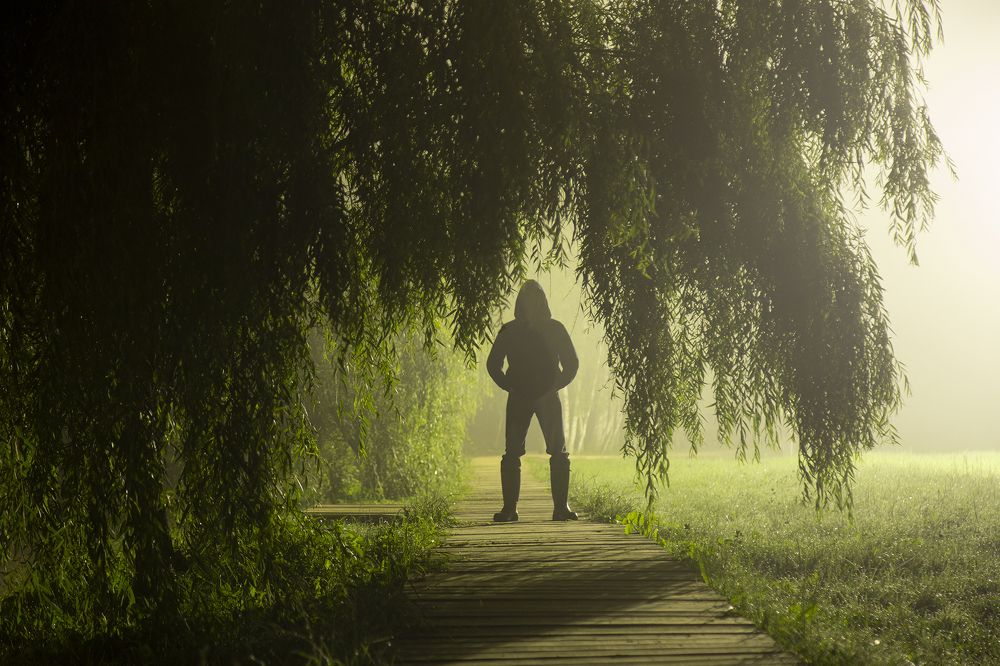 Ночной гость