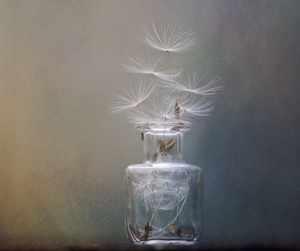 Воспоминания